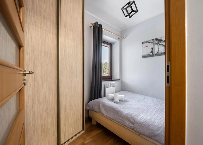 Tatrzanski Jaszczurowka 公寓 *