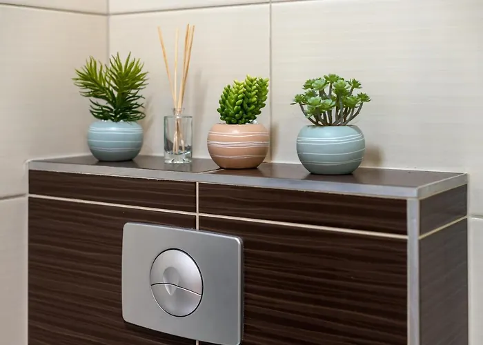 Tatrzanski Jaszczurowka 公寓 扎科帕内